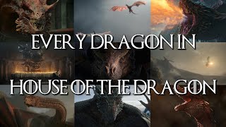 Every Dragon In House Of The Dragon Explained | Official List | Game Of Thrones Prequel | Hbo Max