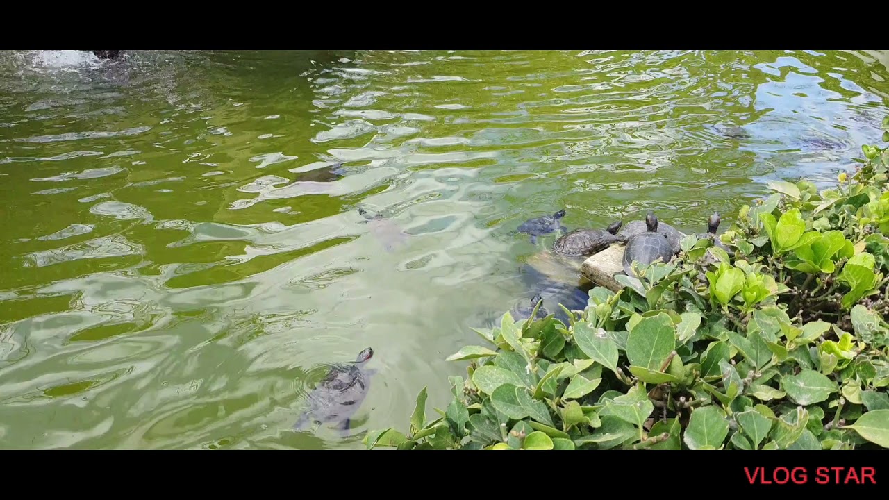 MY JOURNEY TO MALTA 🇲🇹| schengenstate