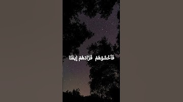 سورة آل عمران ـ الشيخ ياسر الدوسري #القرآن_الكريم #قرآن #قران_كريم #المصحف #اكسبلور