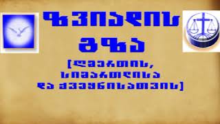 ზვიადის გზა   2 წთ 40 წმ საარჩევნო პროგრამის ვიდეო მასალა