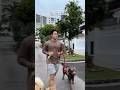the training vs the workout