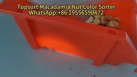TOPSORT macadamia nut color sorter machine