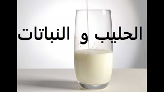 حليب اللبن وطرق الاستخدام لنباتات وهل مفيد ام ضار milk حلقة171