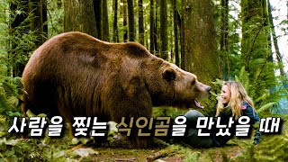 [결말포함] 식인곰의 영역을 침범한 사람들의 최후