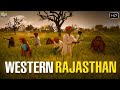 रेगिस्तान में कमं पानी में खेती खेती कैसें कि जाती है | Western Rajasthan & Farmers