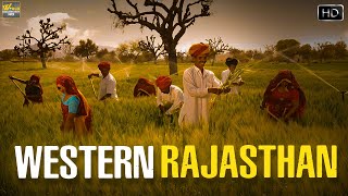 रेगिस्तान में कमं पानी में खेती खेती कैसें कि जाती है | Western Rajasthan &amp; Farmers