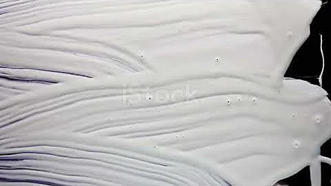 529180883