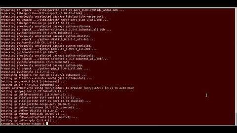 How to check django is installed and which version is running