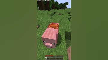 #shorts How to ride a minecraft pig?