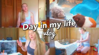 Day in My Life Vlog!