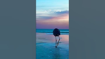 علّمتني سورة يوسف:أن الجبر الإلهي إذا تأخر لا يأتي عادياً أبداً .