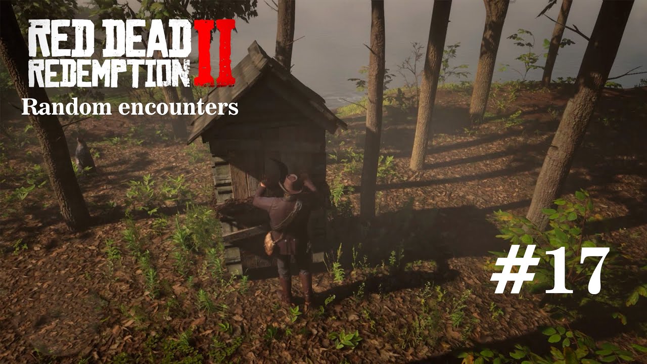 #rdr2 | [PC] #gameplay | Random Encounters #17 | No Aim Assist [No ...