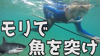 サメが出る海でモリ突きに挑戦　サンセットビーチ【スピアフィッシング】