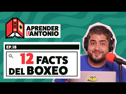 Video: 12 cosas que no sabías sobre los boxeadores