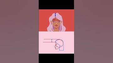 Head Animation Guide