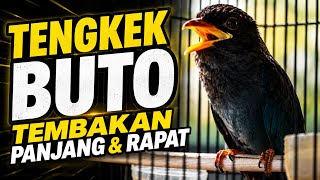 TENGKEK BUTO SUPER MEWAH Cocok Untuk paud || JERNIH BIKIN ISIAN CEPAT MASUK || MASTERAN BURUNG 