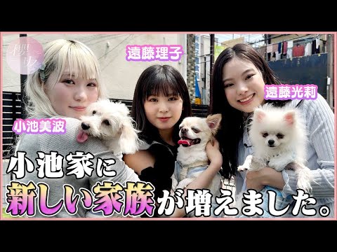 kinaです。トイプーちゃん ペットプラス武蔵小杉店オフィシャル | . . 🌸卒業報告