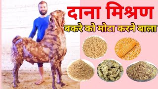 बकरे को मोटा करने बाला दाना मिश्रण/bakre ko mota karne wala dana mishran #goatfarming #bakripalan