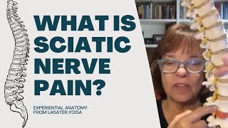 What is sciatic nerve pain (Experiential Anatomy sample 2/5)