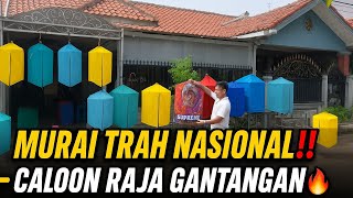 IT DOESN'T MAKE SENSE‼️ A NATIONAL TROTOL MURAI AT RAI BF BEKASI IS A CANDIDATE FOR THE KING OF T...