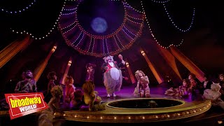 'Bustopher Jones' – Circus Inspired Cats at Paramount Theatre