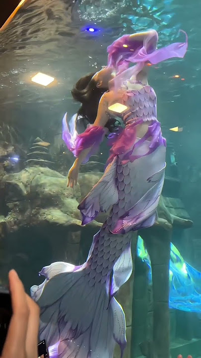 'The love story between a dove and a crow only appears in fairy tales' #mermaid #beautiful