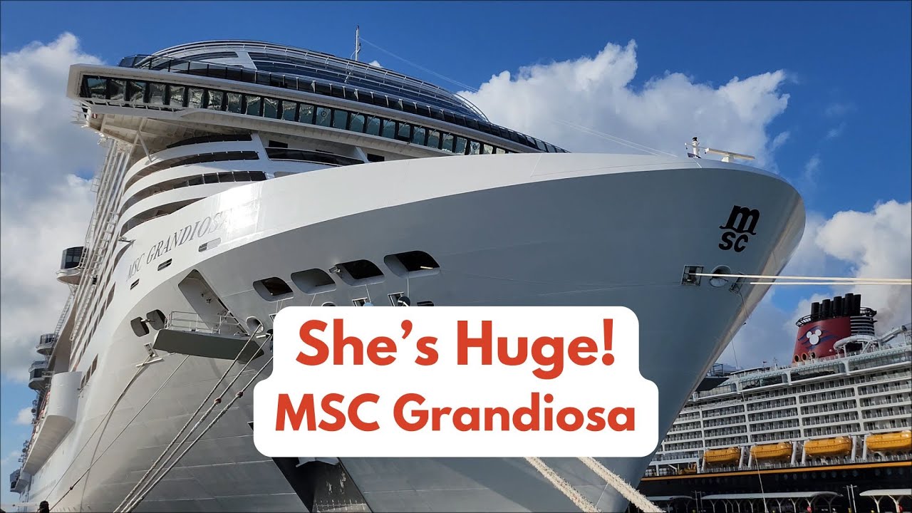 SHIPSPOTTING in Nassau!! Disney Dream, Wonder of the Seas & More, MSC Grandiosa Day 2