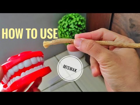 Cara Menggunakan Siwak | How to Use Miswak