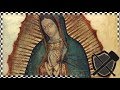 Our Lady of Guadalupe Prefigured in the Old Testament