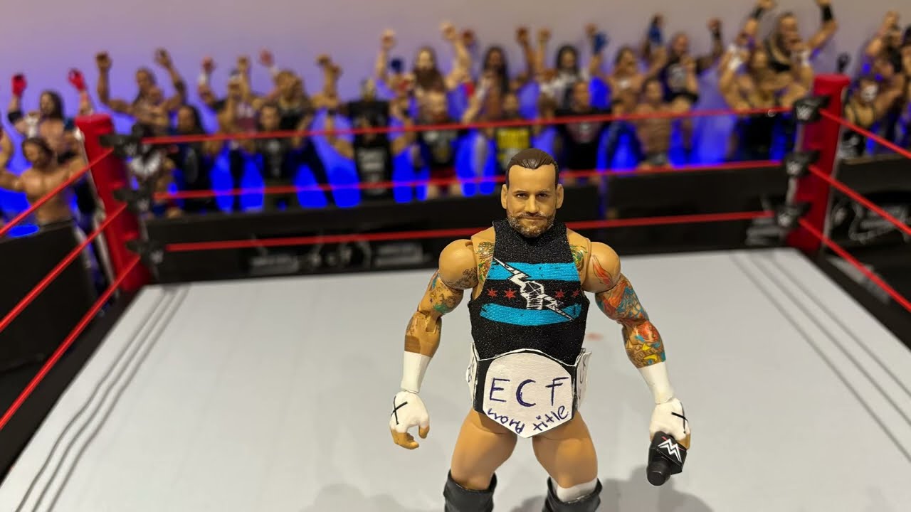 what is going on with CM Punk???