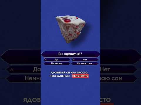 Вот 5 ядовитых грибов, которые категорически нельзя собирать в лесу. #грибы