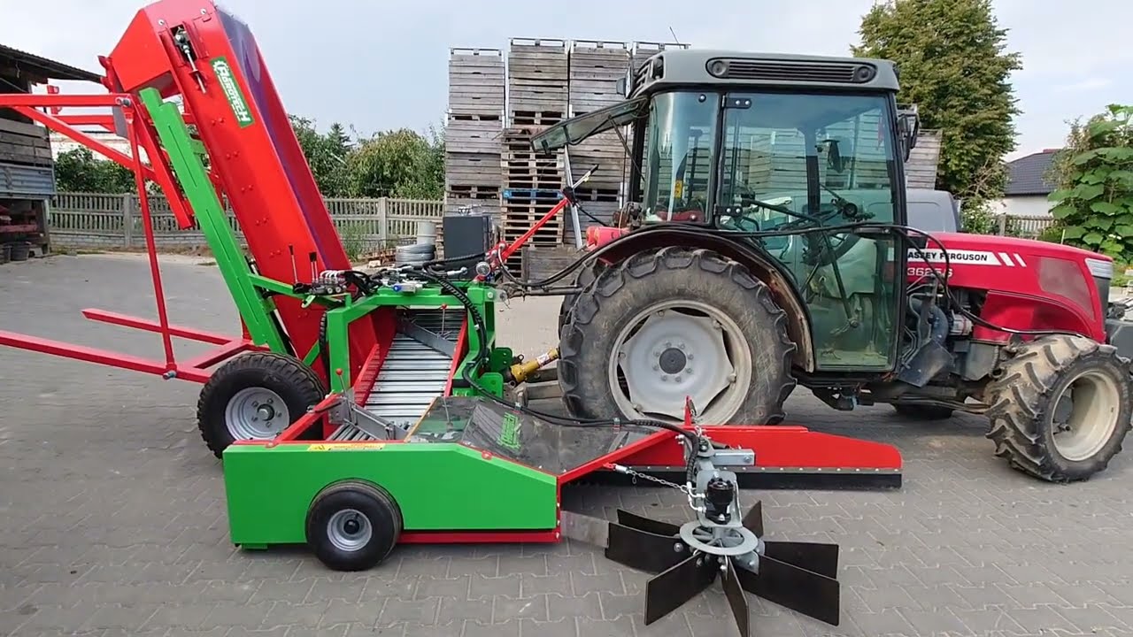 Zbiór mechaniczny jabłek przemysłowych. Kombajn Grabczak Agrotech (part 1) Zbiory 2023