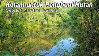 Download Lagu Sebuah kolam di dalam Hutan. MP3 Download Lagu Sebuah kolam di dalam Hutan. MP3