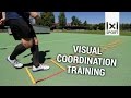 Visual coordination training  over 70 new and innovative agility ladder drills  trailer