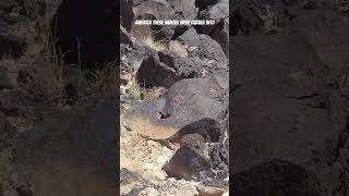 Petroglyph National Monument #newmexico #history