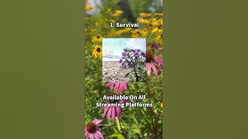 Adding the 808, full breakdown is on my channel! #beatmaking #beatbreakdown #808 #mpc #music #sample