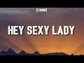 Shaggy - Hey Sexy Lady [1 HOUR/Lyrics] ft. Brian & Tony Gold | 
