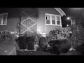 Black bear sighting in Syracuse&#39;s Valley neighborhood