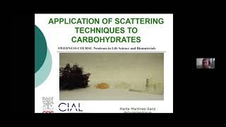 Application of scattering techniques to carbohydrates screenshot 5