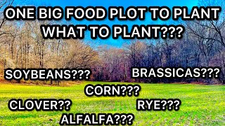 ONE BIG FOOD PLOT...WHAT SHOULD YOU PLANT??? CORN?SOYBEANS?RYE?CLOVER?