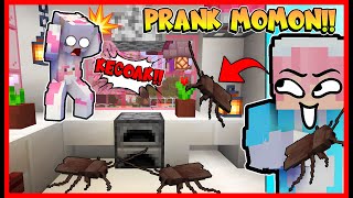 PRANK MOMON DENGAN KECOA YANG PALING DI TAKUTIN !! MOMON NANGIS !! Feat @sapipurba Minecraft