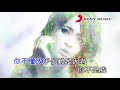 戴愛玲 你不是我 (Official Video Karaoke)