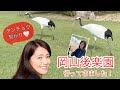 岡山市 岡山後楽園 タンチョウに初対面♡ 日本庭園に見事にマッチ!優雅なタンチョウをご覧下さい。新年 新春