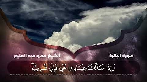 قرأه خاشعه بصوت القارئ عمرو عبدالحليم