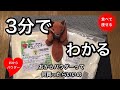 おからパウダーってどれ買えばいいの？3分で伝えます！