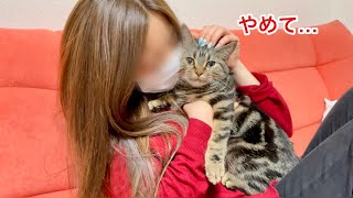 悪さをしてしまい罰として女飼い主に甘えられてしまった子猫w
