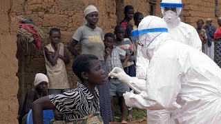 Le virus de Marburg, un cousin d'Ebola presque aussi meurtrier, rapporté en Guinée