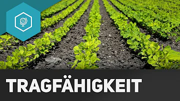 Wie viele Menschen können wir ernähren?