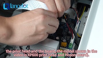 xp600 new print head installation#dtf