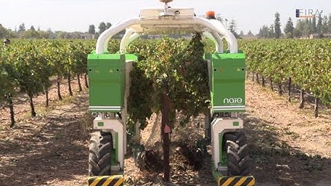 FIRA USA 2022 - Ted by Naïo Technologies